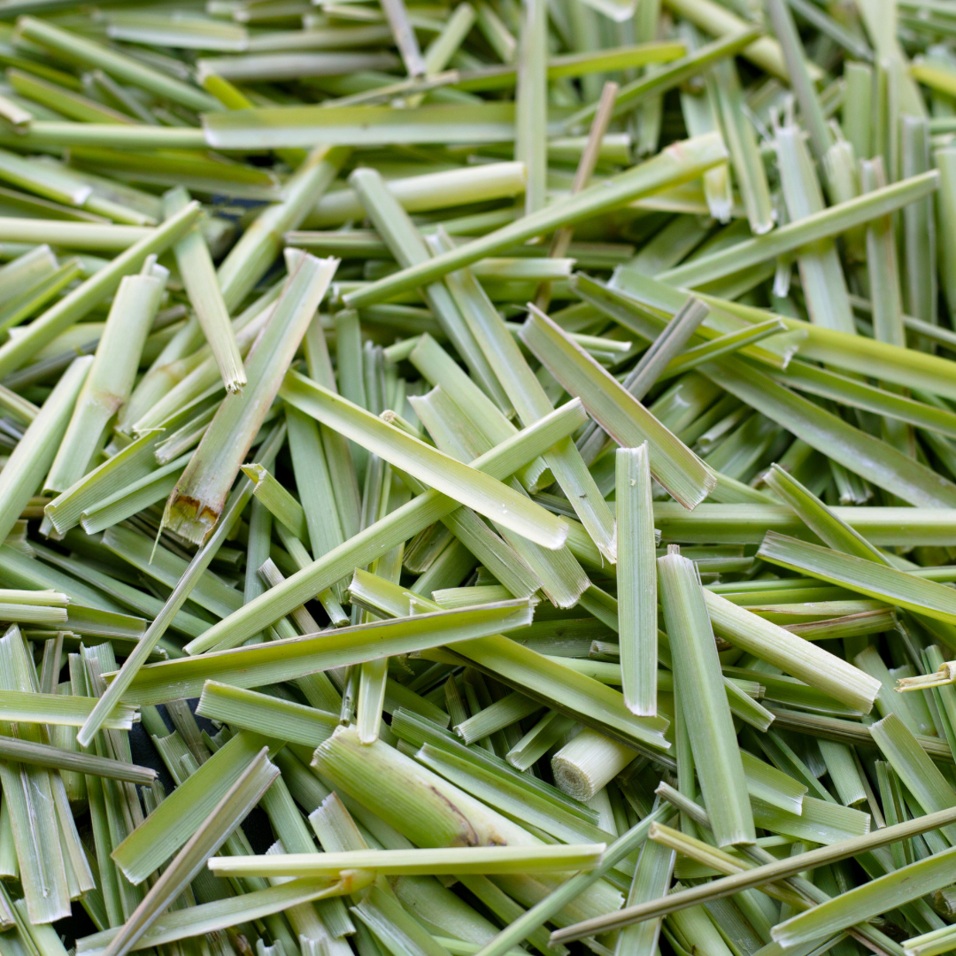 Repelente Citronella Bebé Liv
